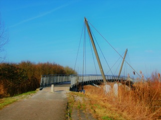 brug-richting-oostvaardersplassen